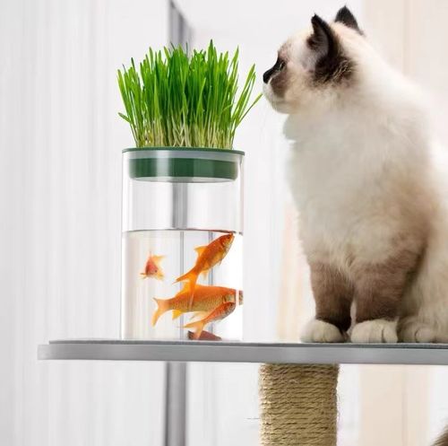 Customer photo review of Michu Vigour Party Cat Tree, Modern Lifestyle Cat Furniture, 105cm Height