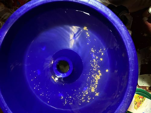 Customer photo review of *TROGO* Flawless '$5,000 GOLD NUGGET DISCOVERY' - Gold Panning Paydirt