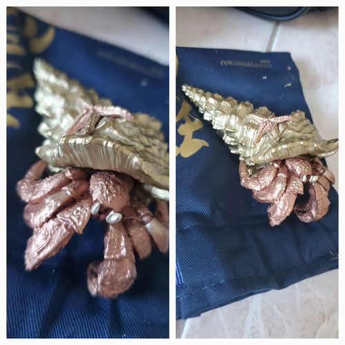 Customer photo review of Hermit Crab Bottle Opener