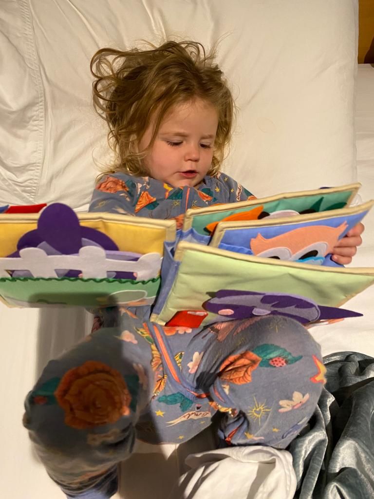 Customer photo review of Little Safari Cognitive Skills Quiet Book