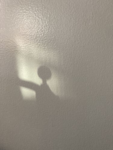 Customer photo review of Champagne Truffles - Limited Edition