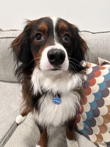 Customer photo review of Anime