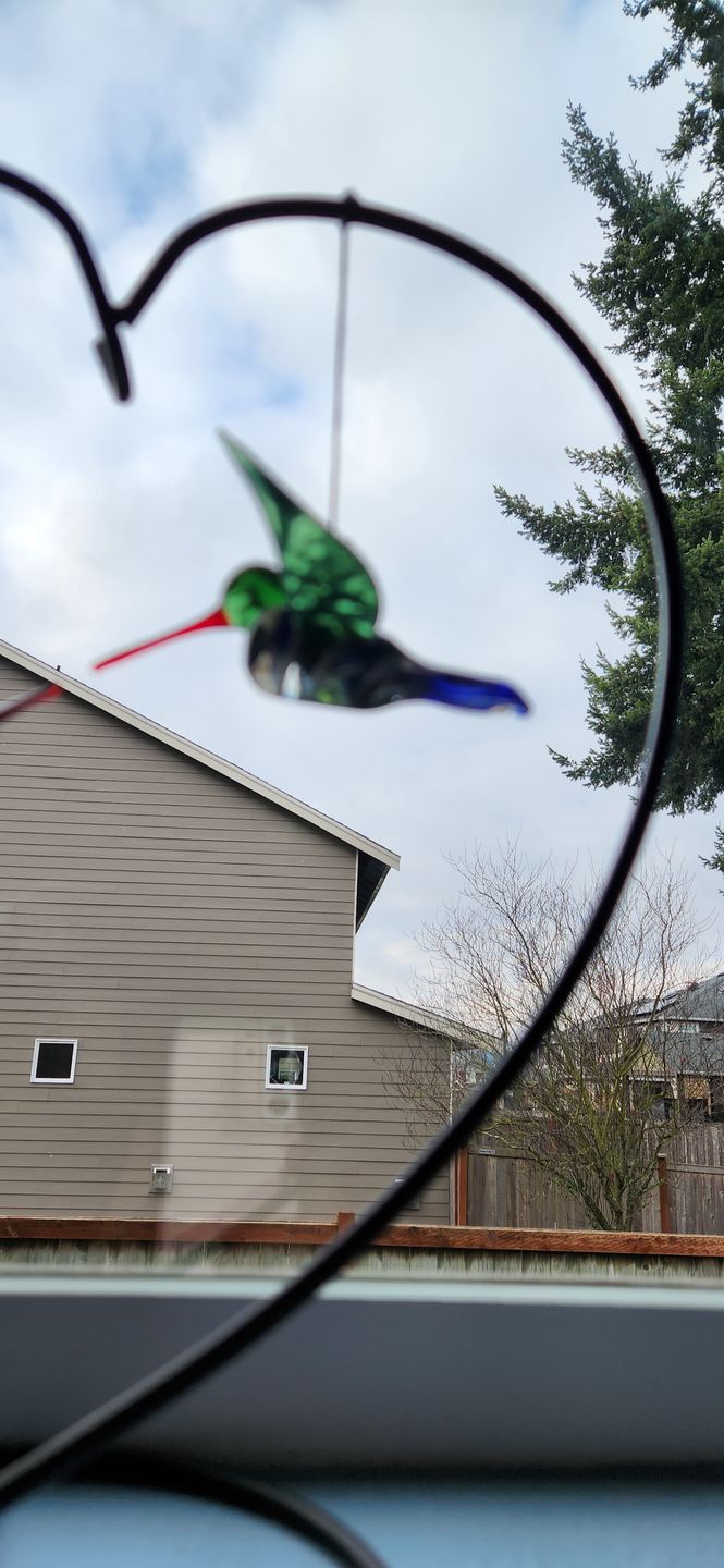 Customer photo review of Dichroic Twist Glass Hummingbird with Infused Ash