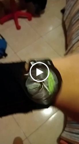 Customer video review of Raptor - Motoria