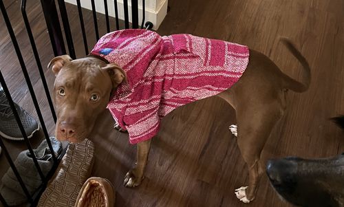 Customer photo review of Playa Poncho - Surprise Color