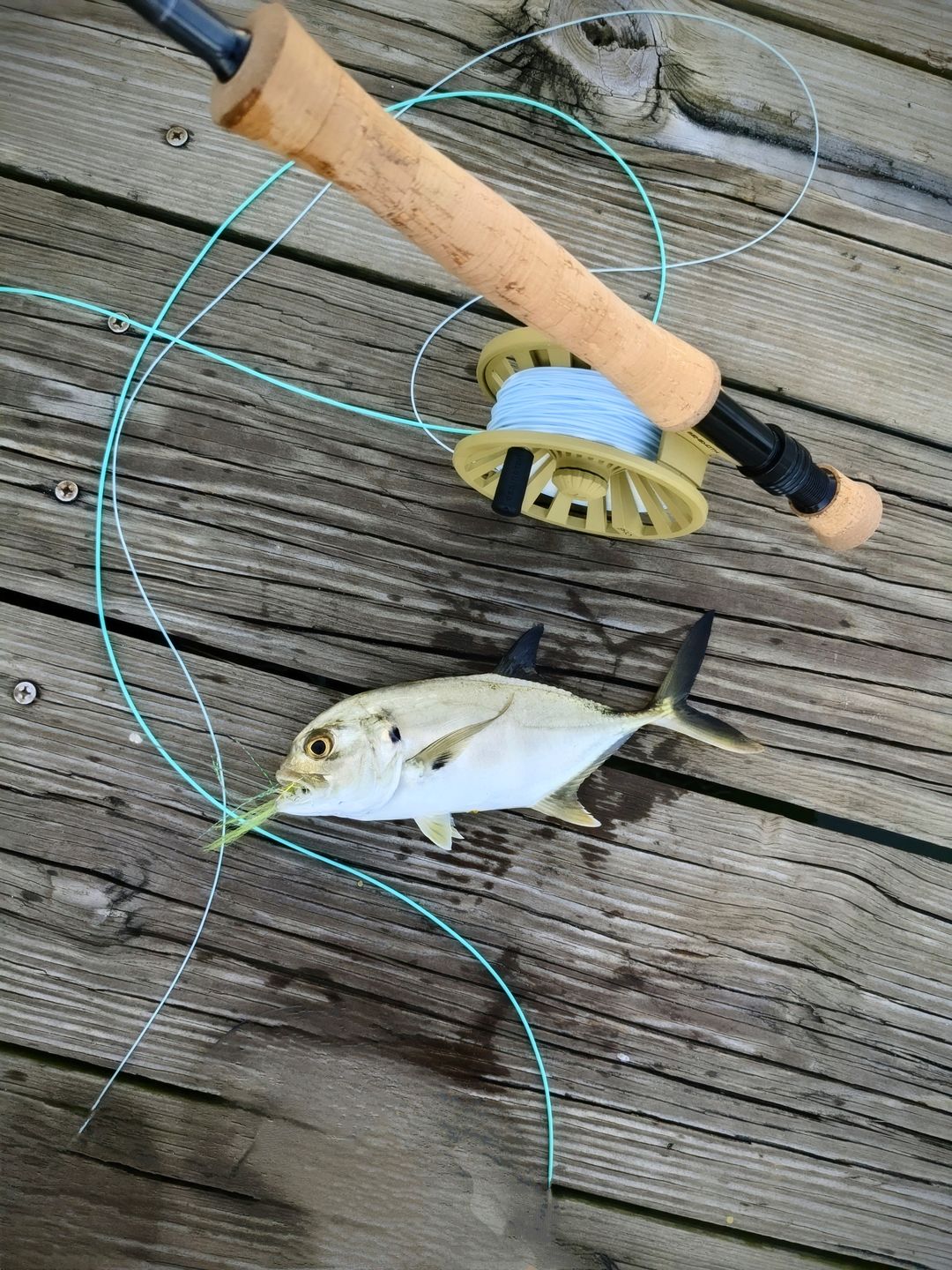 Customer photo review of Redington Behemoth Fly Reel