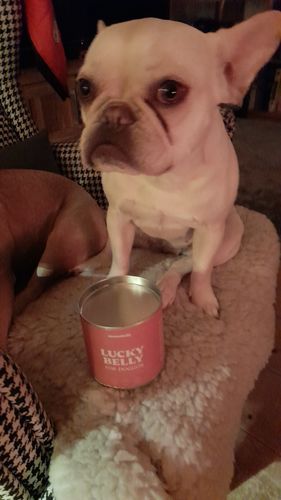 Customer photo review of Lucky Belly