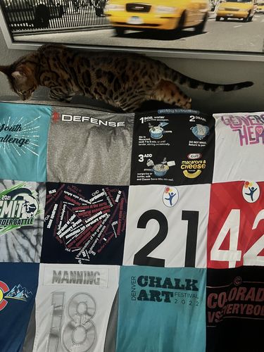 T-shirt quilt with art, cooking themes by Monica from CO