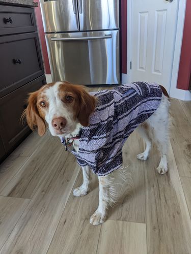 Customer photo review of Playa Poncho - Surprise Color