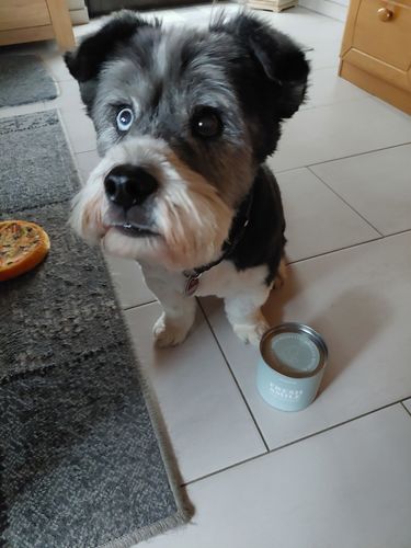 Customer photo review of Fresh Smile