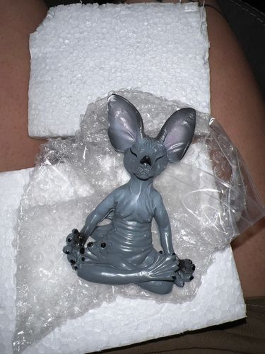 Customer photo review of Yoga Cat Statue