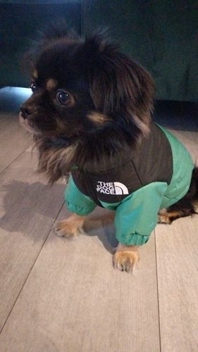 Customer photo review of Cozy Puffer Jacket