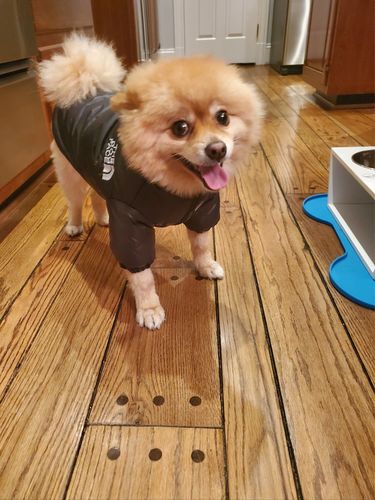 Customer photo review of Cozy Puffer Jacket