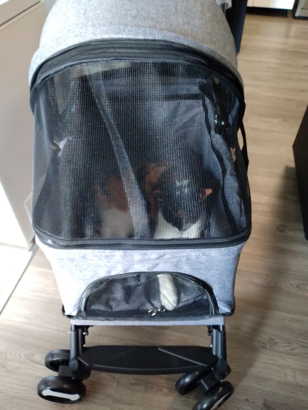 Customer photo review of PaWz Large Pet Stroller Dog Cat Carrier