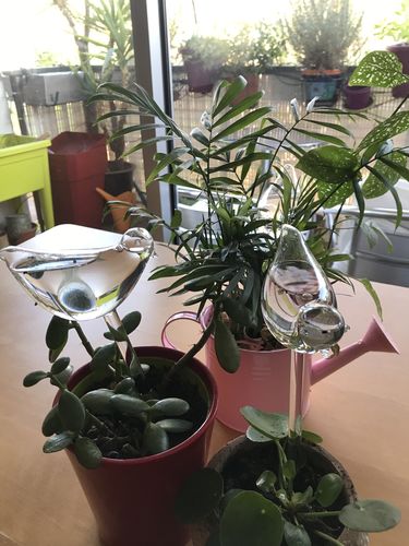 Customer photo review of Mon petit oiseau®
