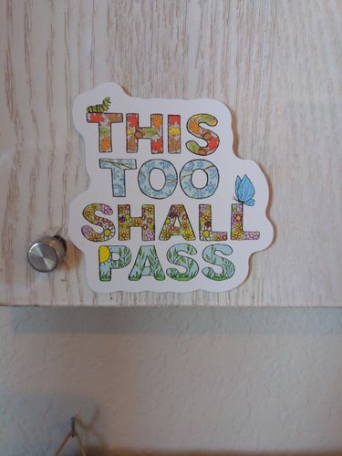 Customer photo review of This Too Shall Pass