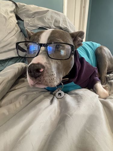 Customer photo review of White