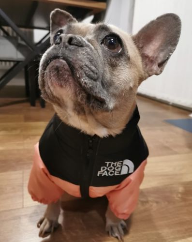 Customer photo review of Cozy Puffer Jacket