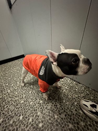 Customer photo review of Cozy Puffer Jacket