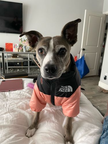 Customer photo review of Cozy Puffer Jacket
