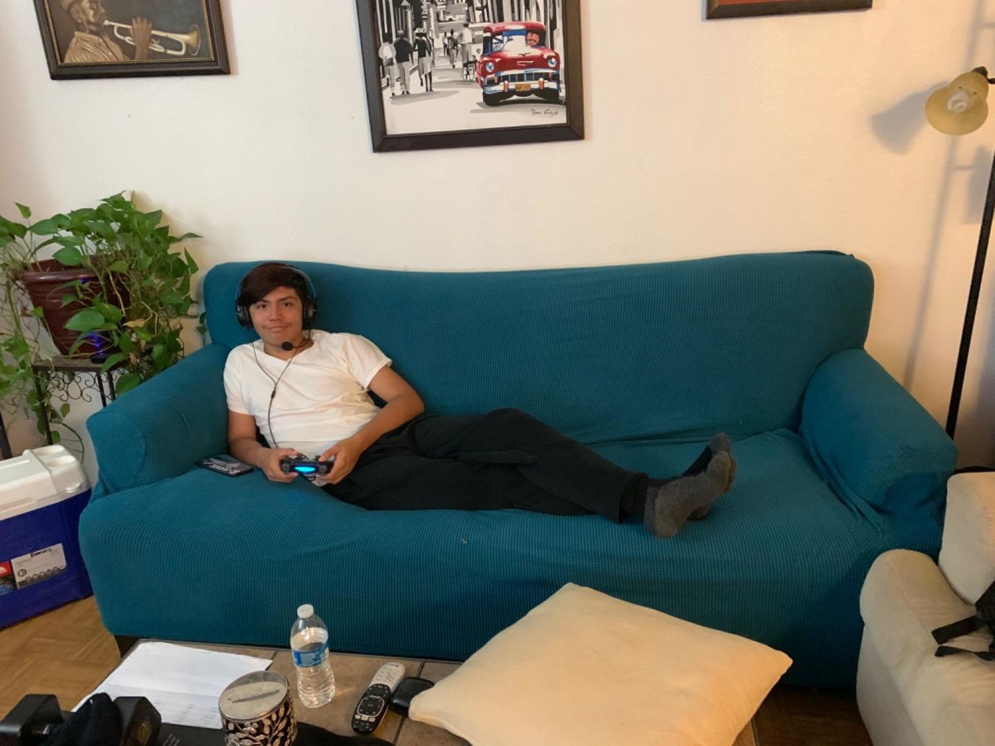 Customer photo review of 2 Pieces Stretch Sofa Slipcover Armchair Sofa Covers