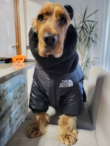 Customer photo review of Cozy Puffer Jacket