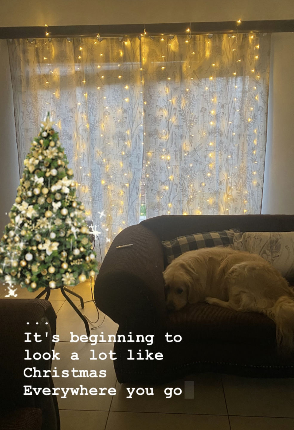 Customer photo review of Litehouse 2x3m 300 LED Curtain Fairy Light - Warm White