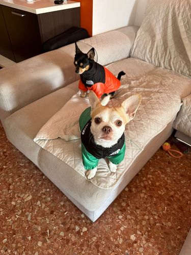 Customer photo review of Cozy Puffer Jacket
