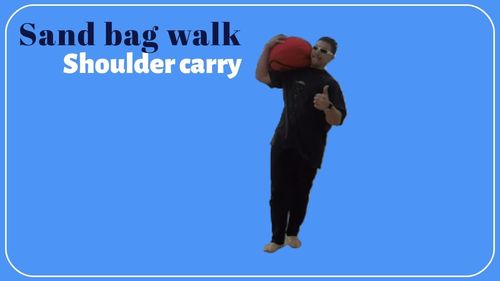 Customer photo review of Strongman Sandbag