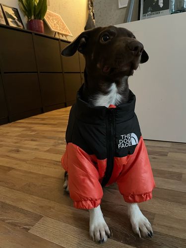 Customer photo review of Cozy Puffer Jacket