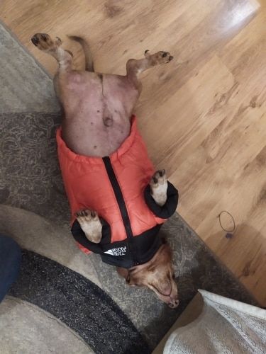 Customer photo review of Cozy Puffer Jacket