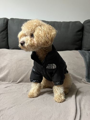 Customer photo review of Cozy Puffer Jacket