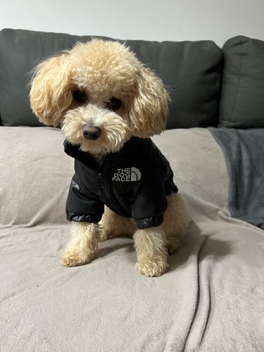 Customer photo review of Cozy Puffer Jacket