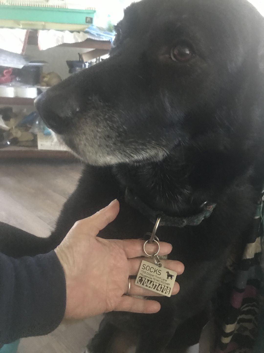 Customer photo review of Hollow-carved ID Tags