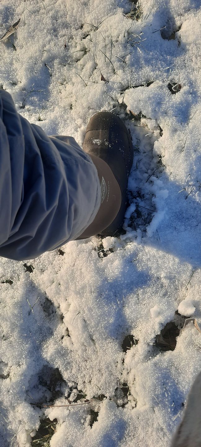 Customer photo review of Unisex Derwent II Short Boots