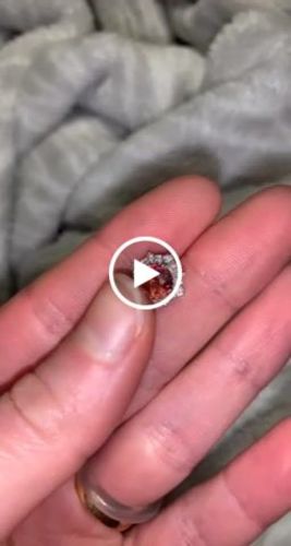 Customer video review of Sunburst Halo CZ Stud Earrings in Sterling Silver