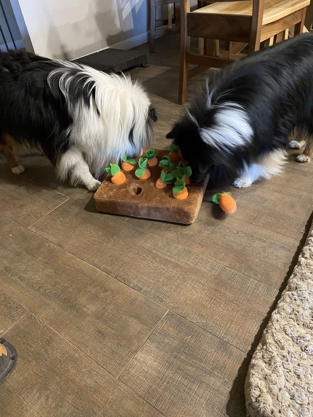 Customer photo review of Carrot Farm