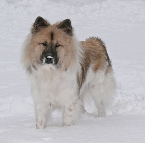 Customer photo review of Flyer Willkommen in der mammaly family