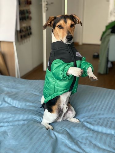 Customer photo review of Cozy Puffer Jacket
