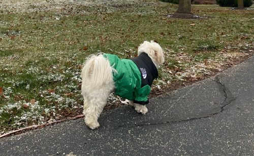 Customer photo review of Cozy Puffer Jacket