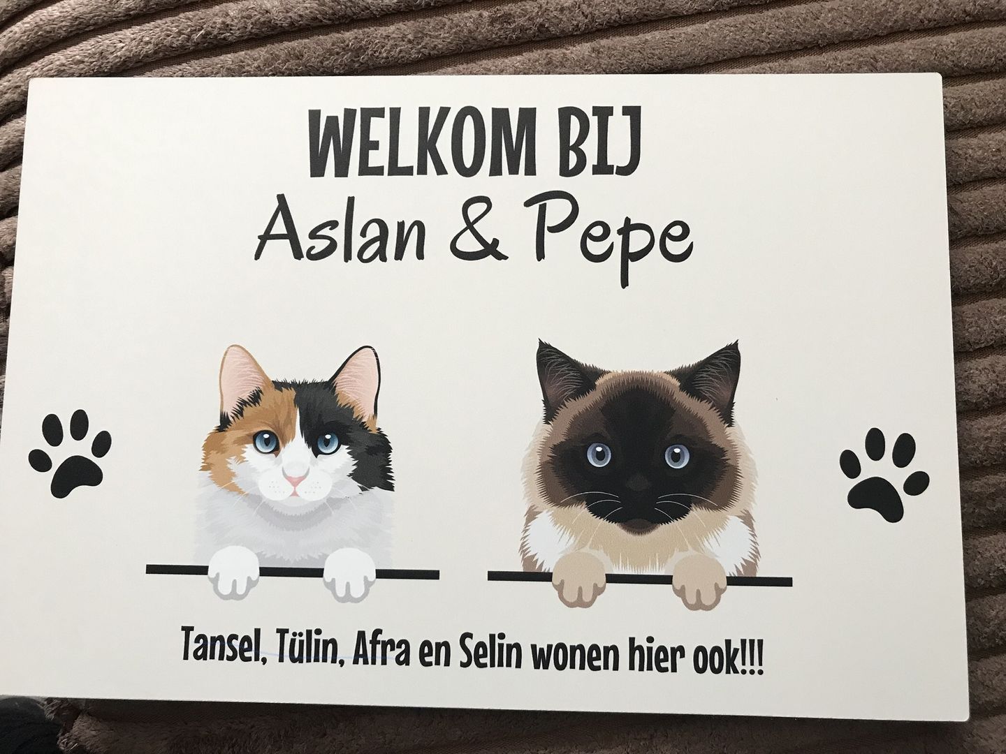 Customer photo review of Spionerende huisdieren- Gepersonaliseerde deurbord