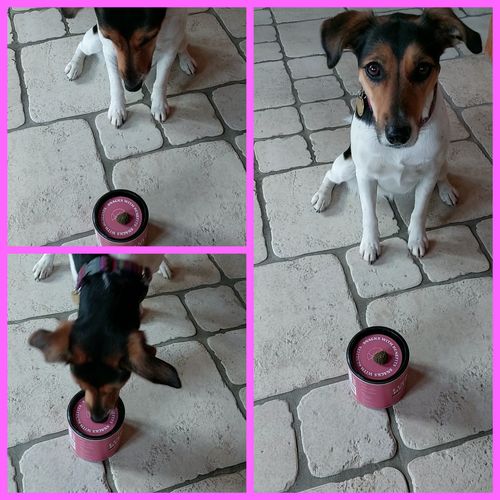 Customer photo review of Flyer Jeden tag ein Bissen gesünder