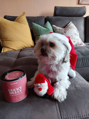 Customer photo review of Lucky Belly