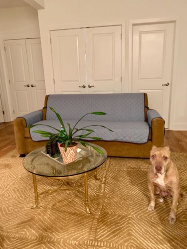 Customer photo review of Reversible Quilted Sofa Protector