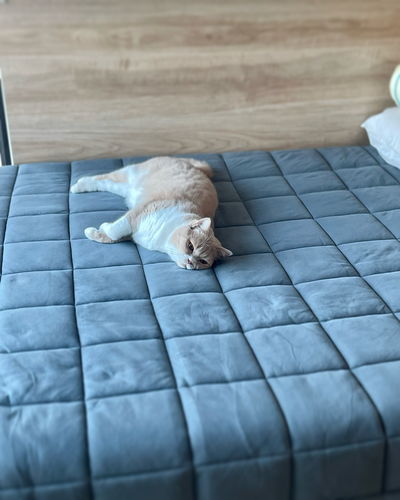 Customer photo review of 抱抱被子/床墊 PO-ONG Blanket/Pad