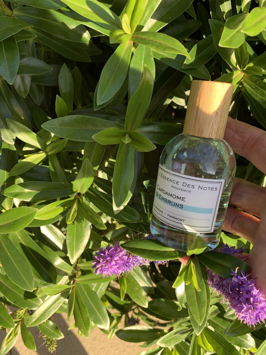 Customer photo review of Cardamome & Embruns