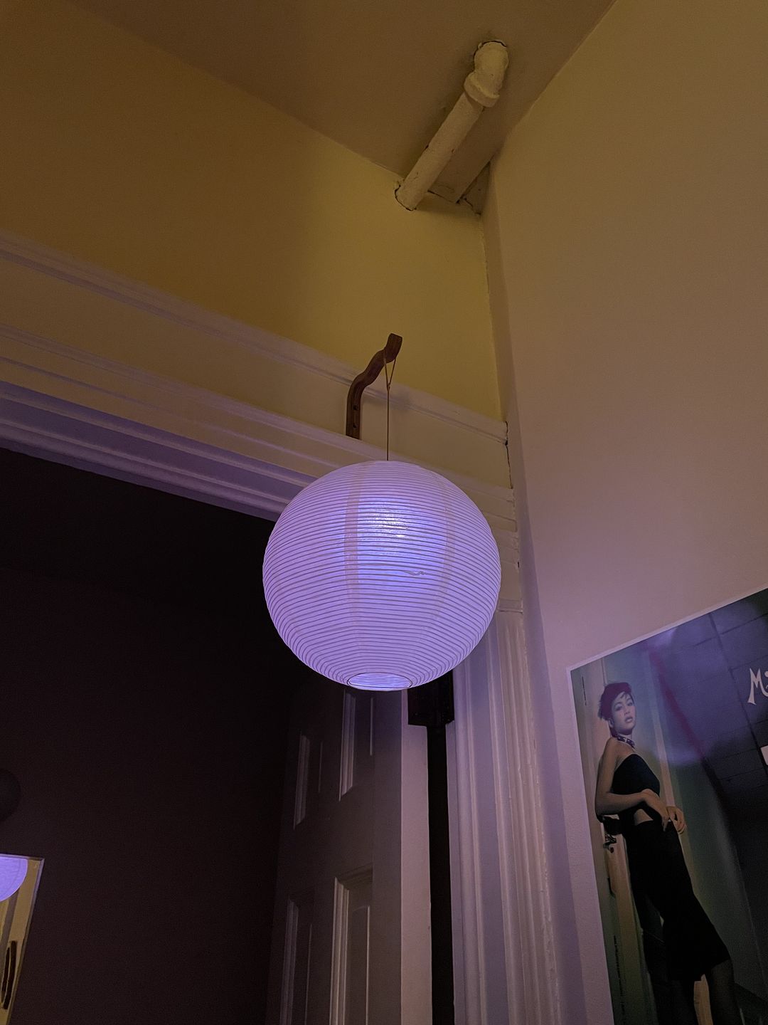 Customer photo review of 12" Beige/Ivory Fine Line Premium Even Ribbing Paper Lantern, Extra Sturdy