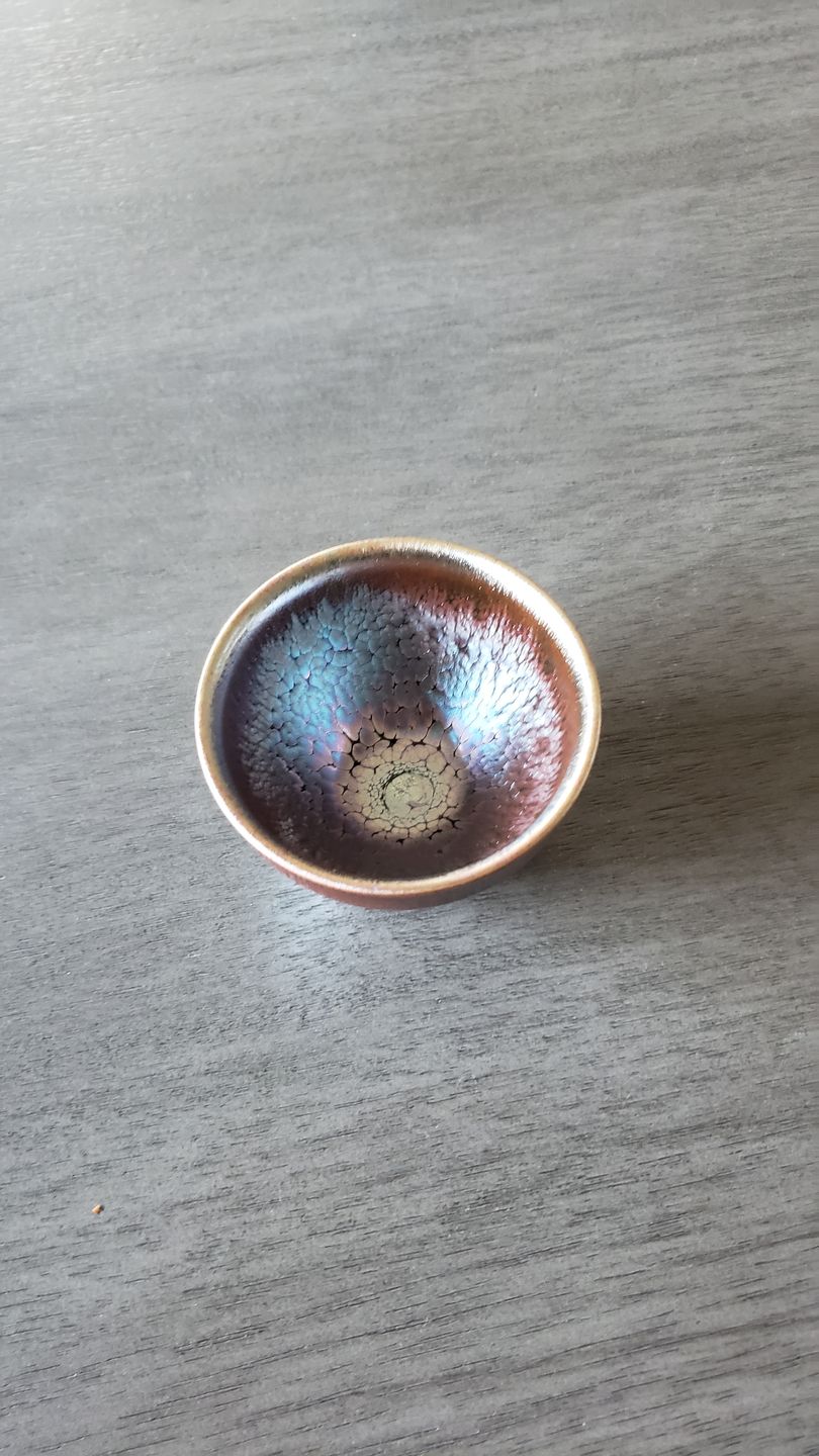 Customer photo review of Succulent
