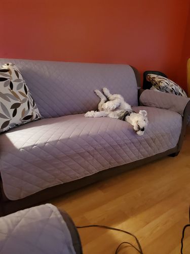 Customer photo review of Reversible Quilted Sofa Protector