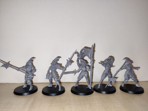 Customer photo review of City Militia Command Group (Imperial - F)